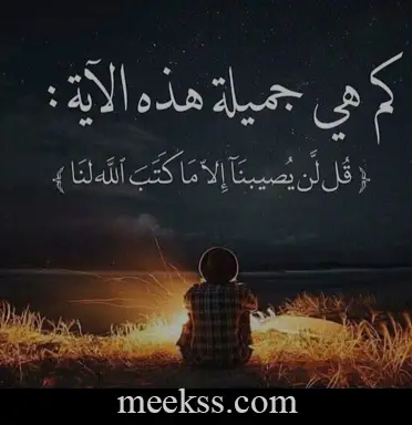 حالات واتس مميزة ونادرة