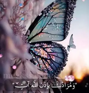 خلفيات واتس اب طبيعية