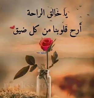 خلفيات ورد واتس اب