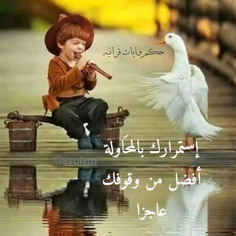 خلفيات كيوت واتس اب..صور واتساب